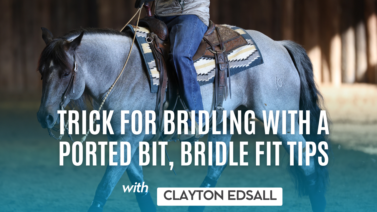 Trick for Bridling with a Ported Bit, Bridle Fit Tips