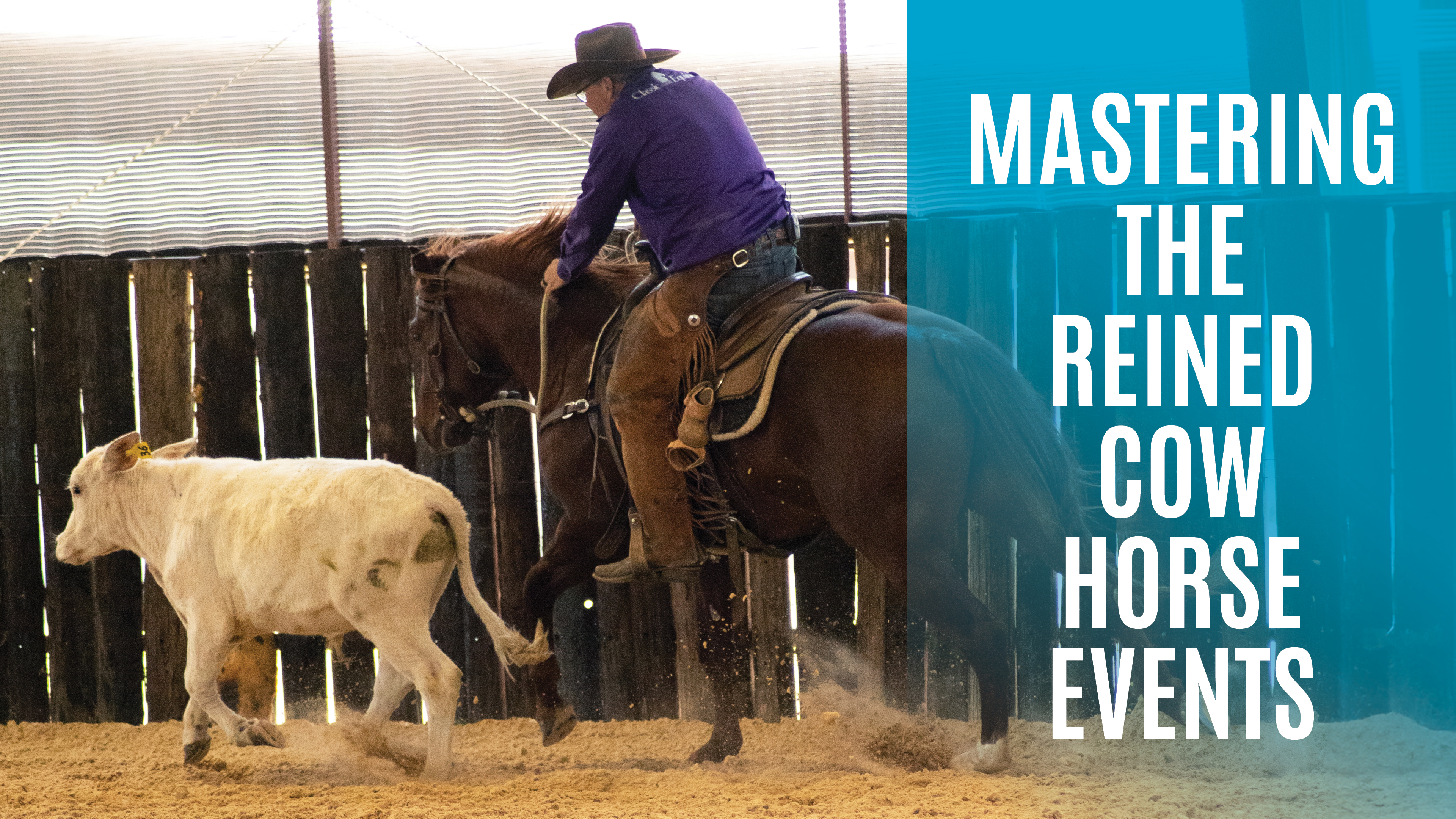 Mastering the Reined Cow Horse Events