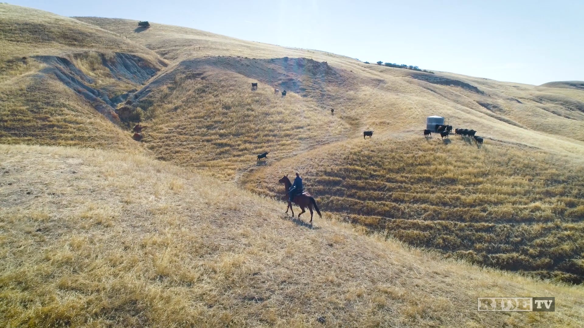 Horsemanship with Carly - Barrel Racing