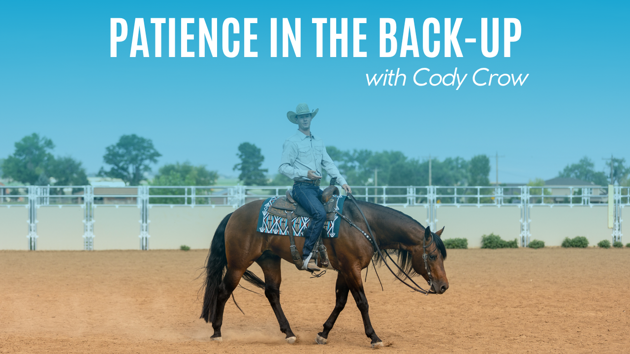 Cody Crow on Patience in the Back-Up