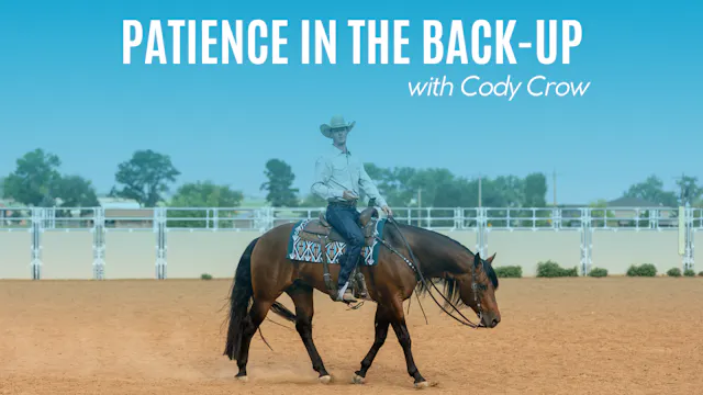 Cody Crow on Patience in the Back-Up