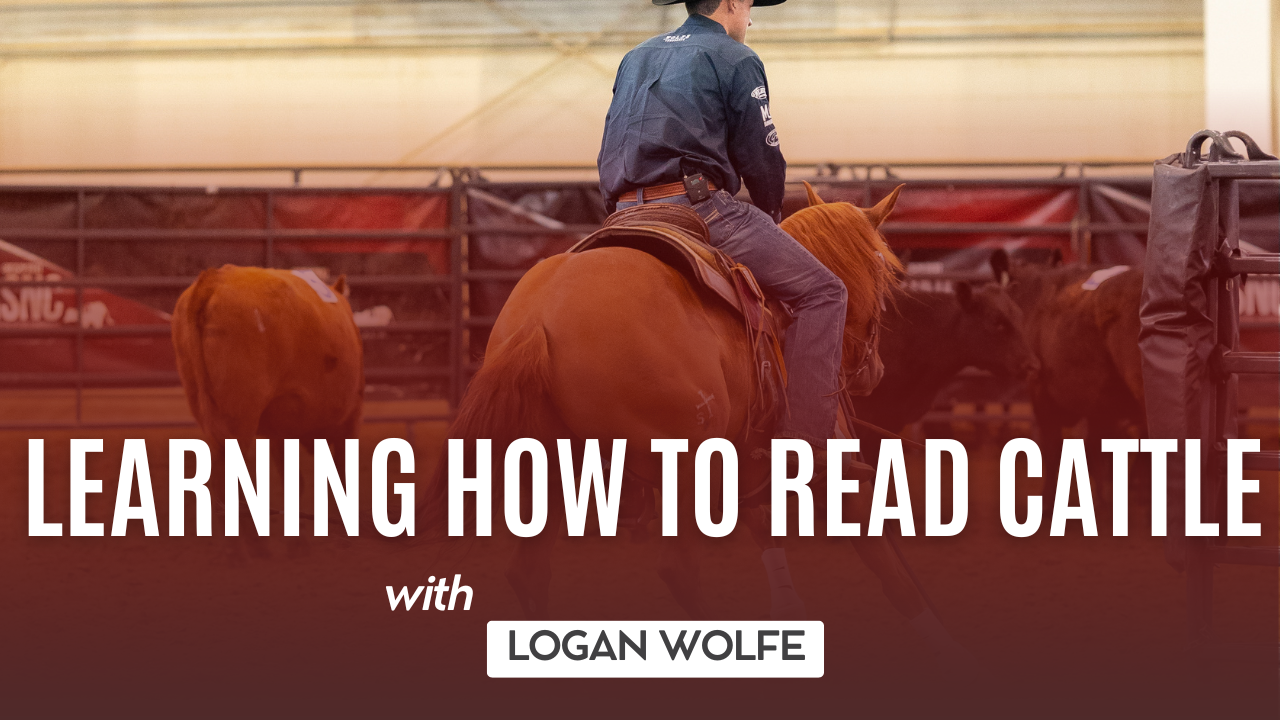 Learning How to Read Cattle