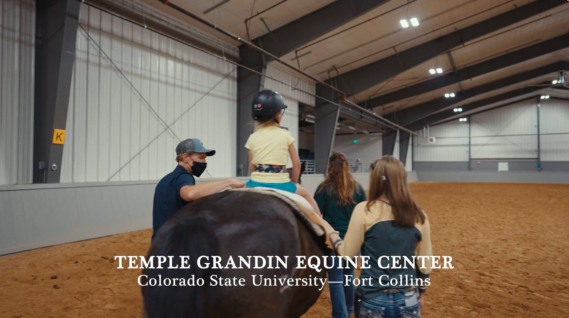 The Wings We Lack, Presented by Absorbine