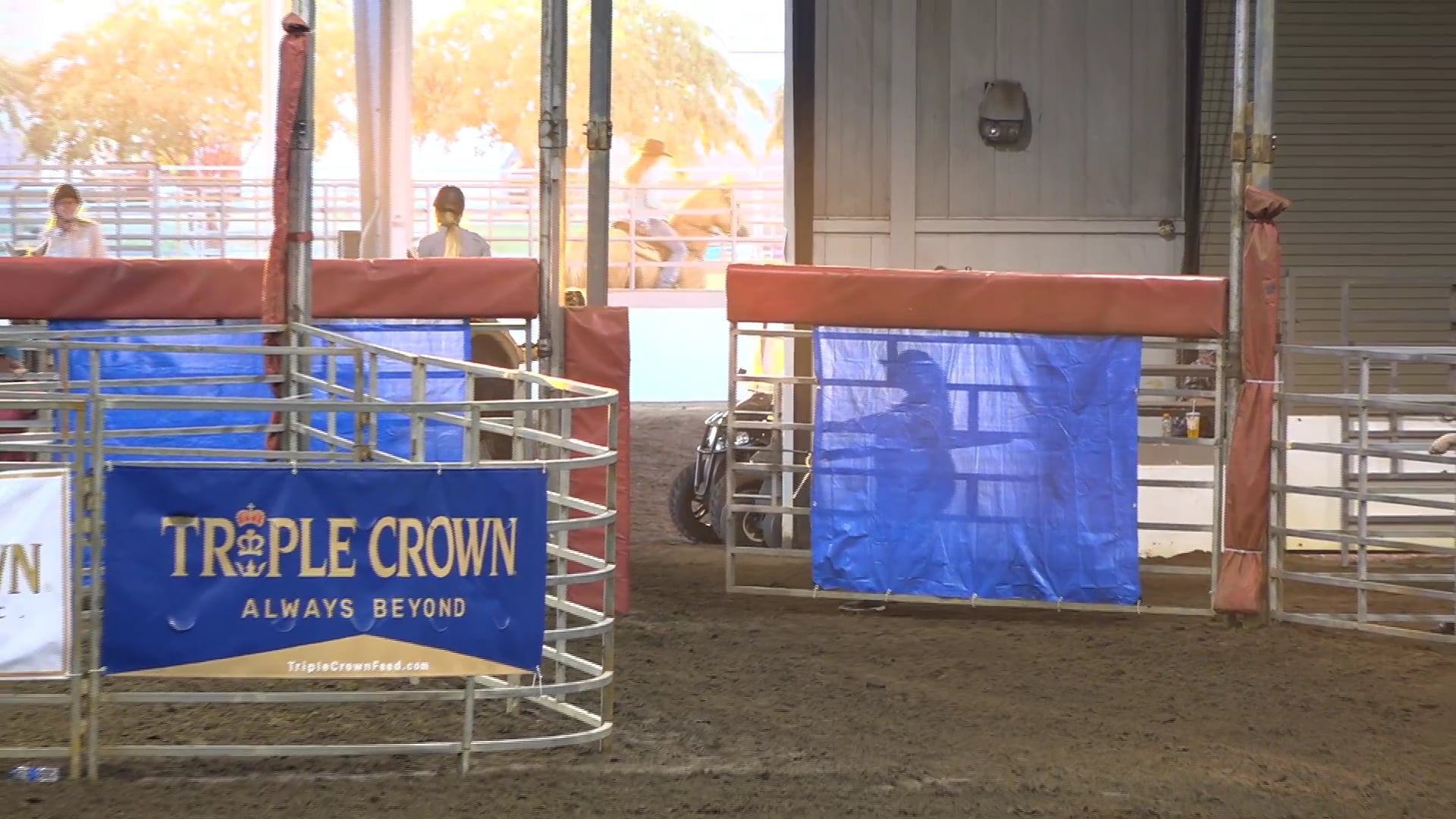 2019 NBHA GA Y1 #001-005