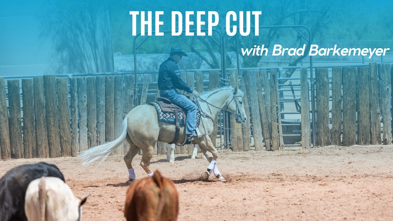 The Deep Cut