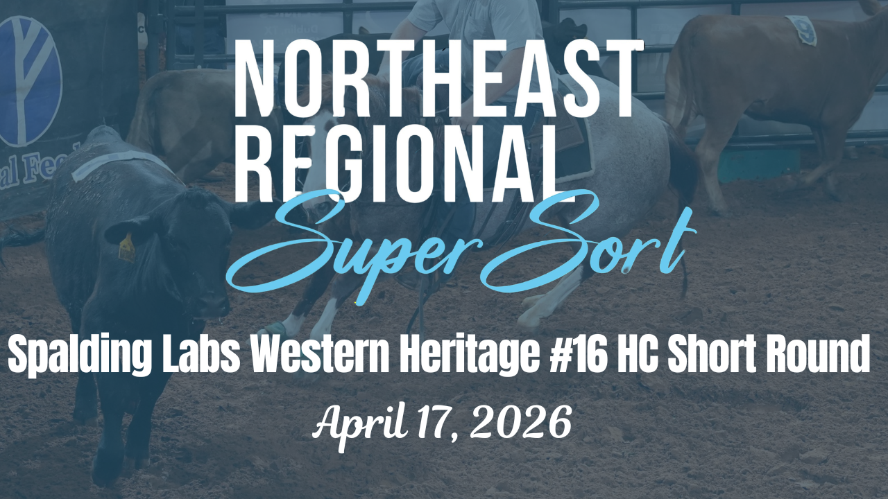 WH #16 HC Short Round | Cinch RSNC No...