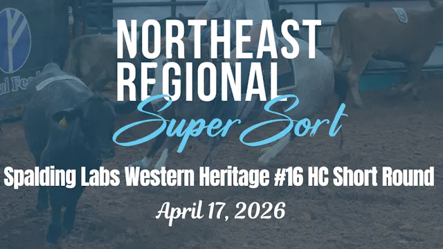 WH #16 HC Short Round | Cinch RSNC No...