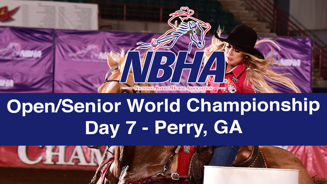 NBHA Open/Senior World Day 7 - Perry, GA