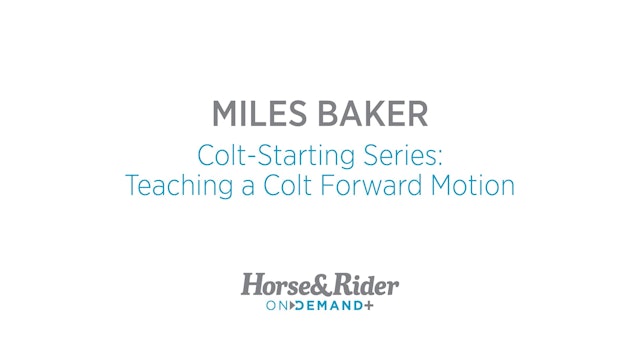 ColtStarting Series: Teaching a Colt Forward Motion