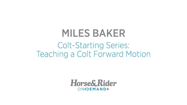 ColtStarting Series: Teaching a Colt ...