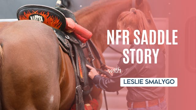 NFR Saddle Story 