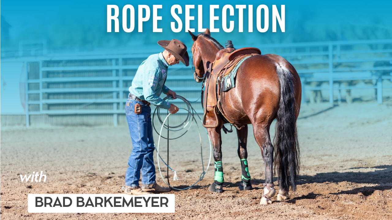 Rope Selection