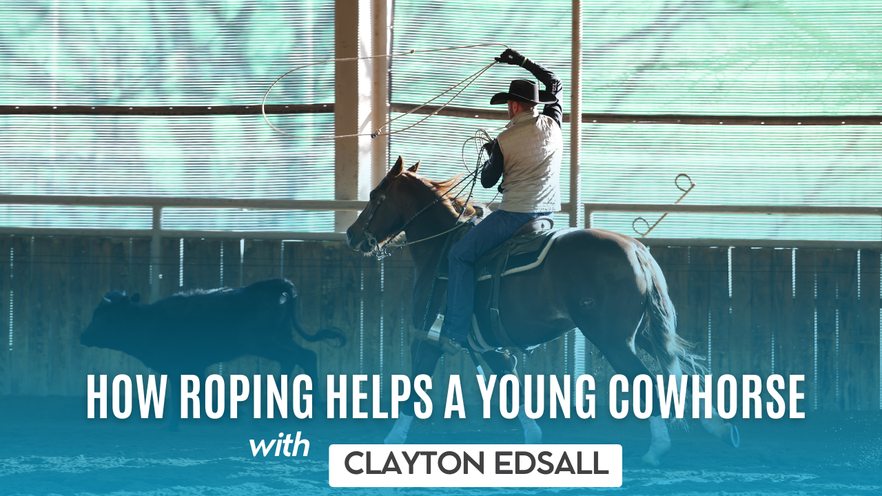 How Roping Helps a Young Cowhorse with Clayton Edsall