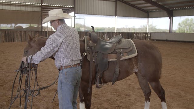 Don't Fatigue Your Horse