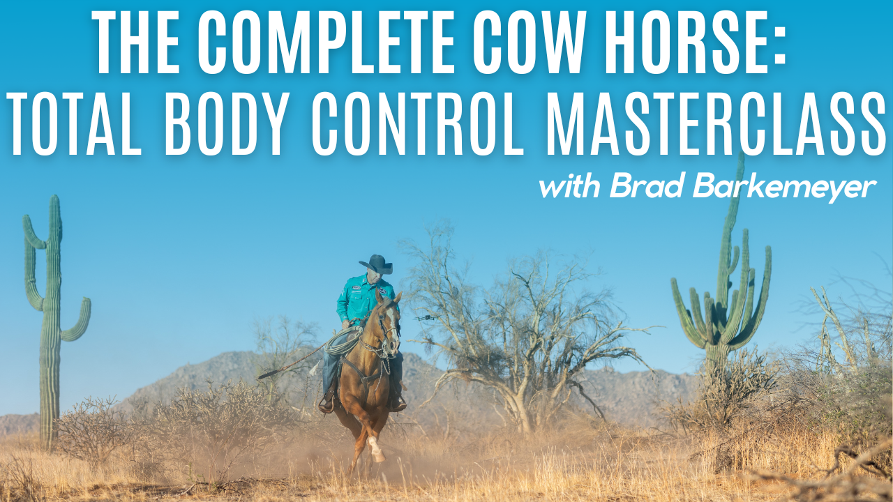 The Complete Cow Horse: Total Body Control Masterclass
