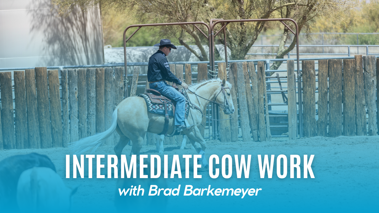 Intermediate Cow Work