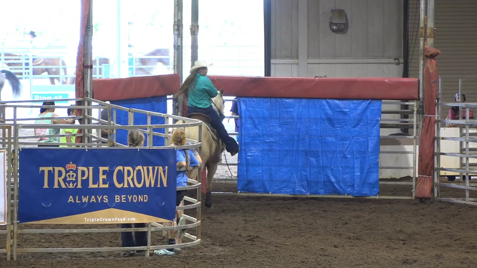 2019 NBHA GA Op2 #340-336