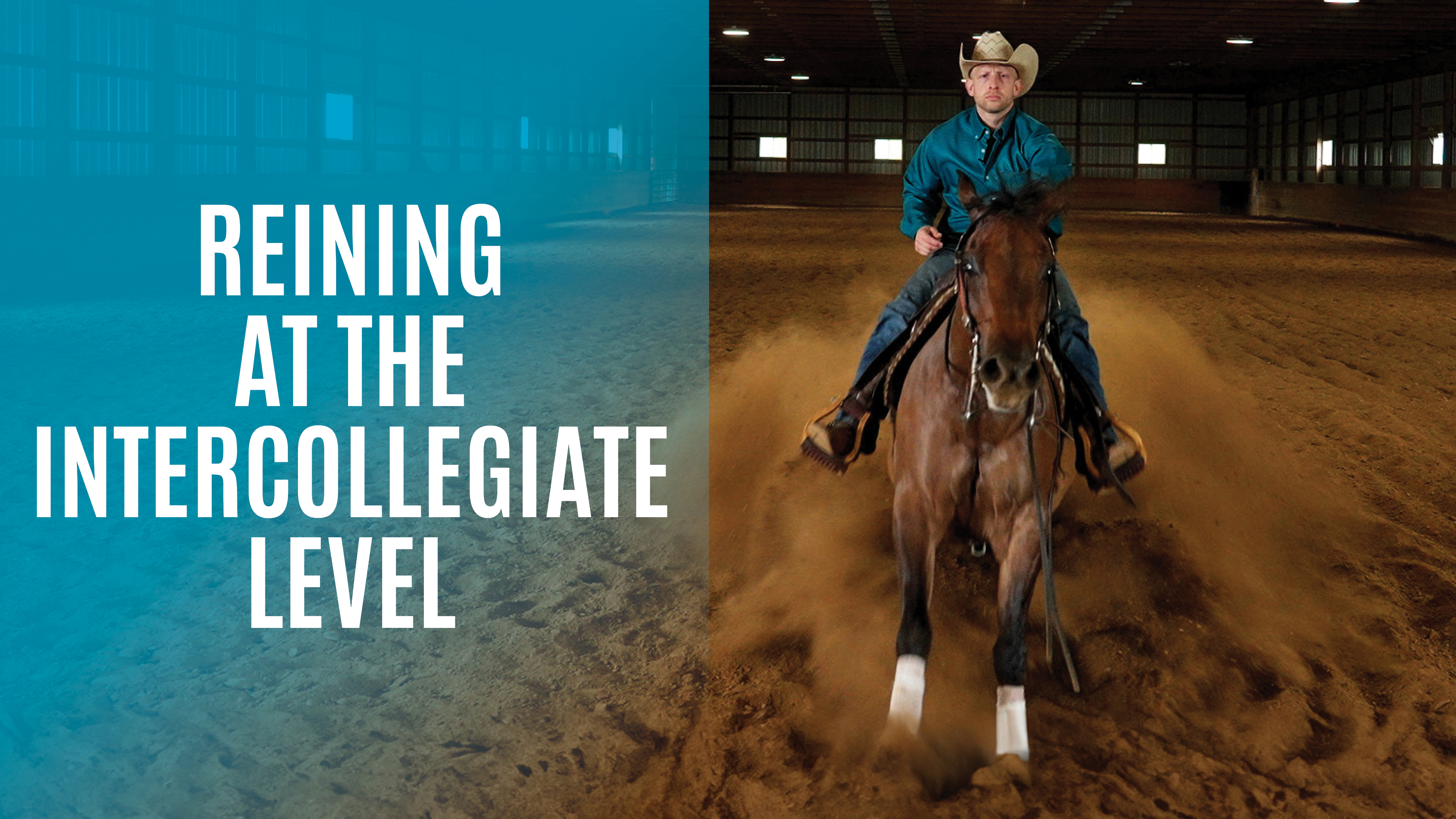 Reining at the Intercollegiate Level