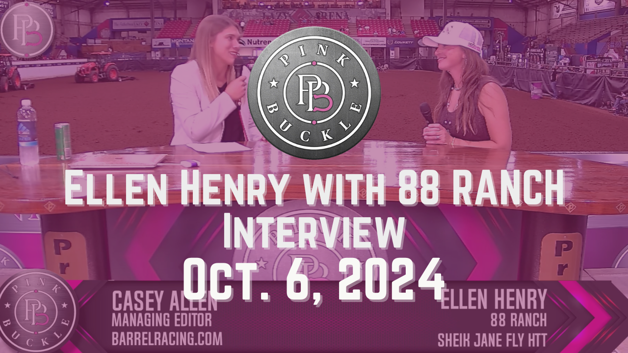 Sheik Jean Fly HTT, Stallion Highlight | Pink Buckle | October 6, 2024