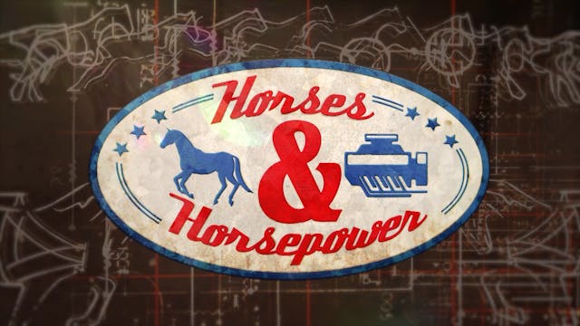 Horses & Horse Power