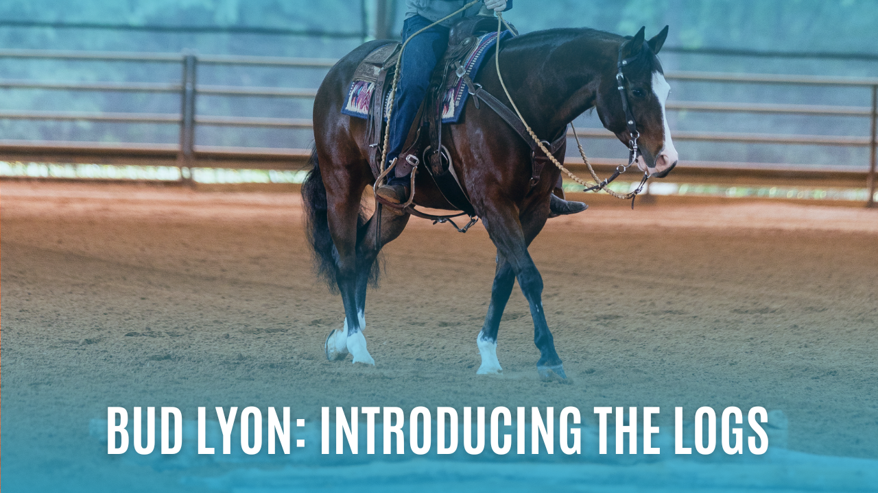 Bud Lyon: Introducing the Logs