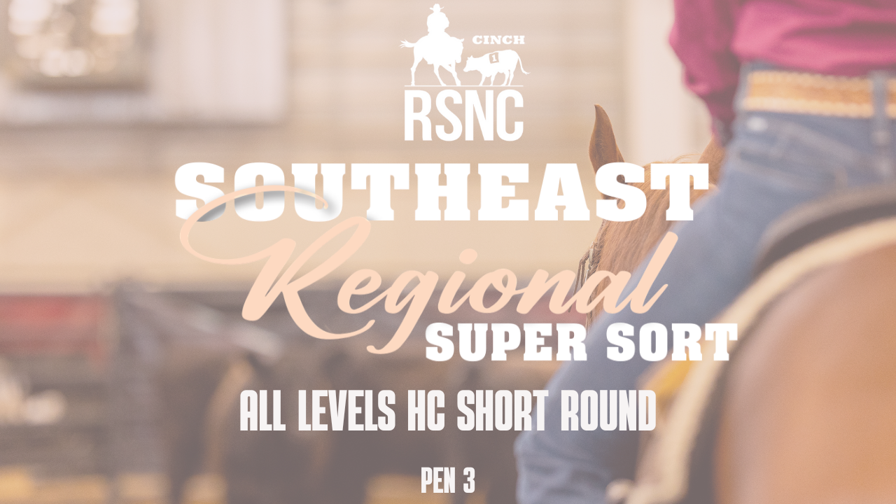 All Levels HC | CINCH RSNC Southeast Regional Super Sort | Short Round