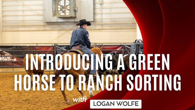 Introducing a Green Horse to Ranch So...