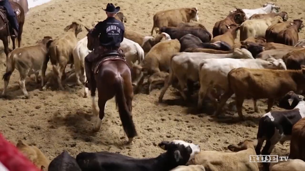 2015 NCHA World Championship Futurity Pre-Show