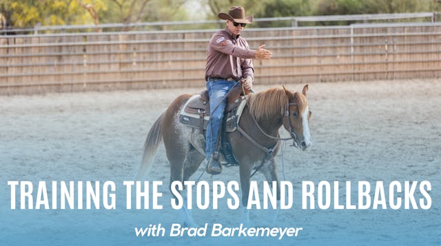 Training the Stops and Rollbacks