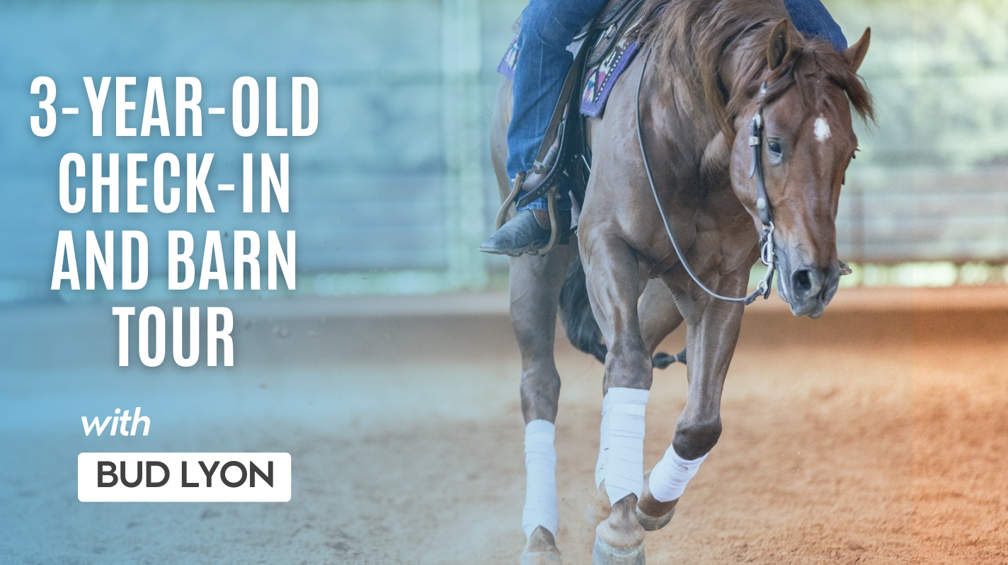 Bud Lyon: 3-Year-Old Check-In and Barn Tour