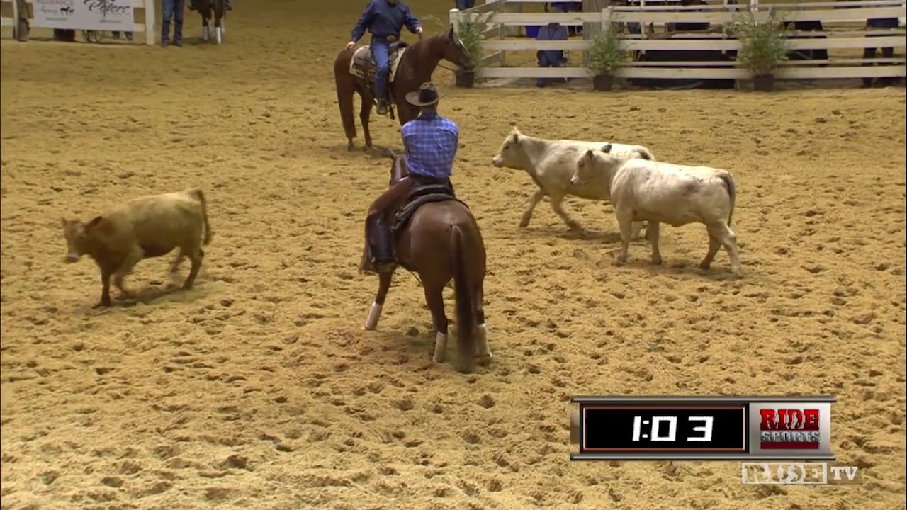 2016 NCHA Summer Spectacular Non-Pro Finals