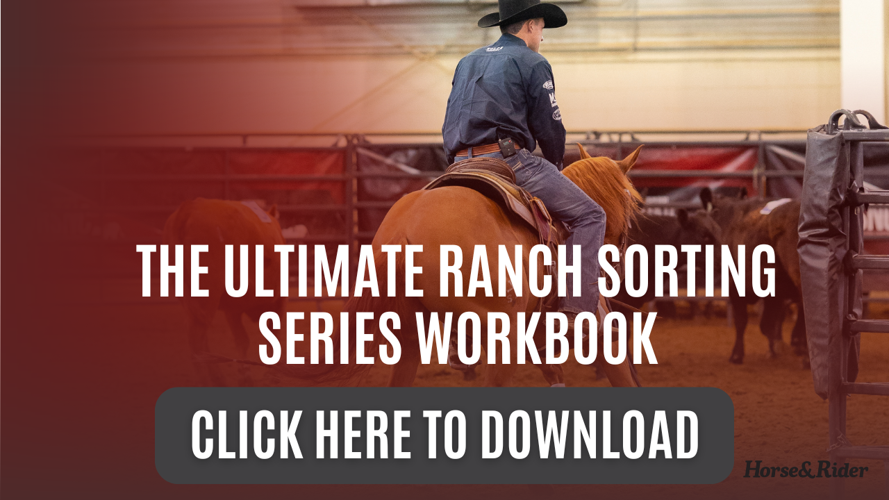 The Ultimate Ranch Sorting Series Workbook