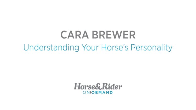 Understanding Your Horse's Personality