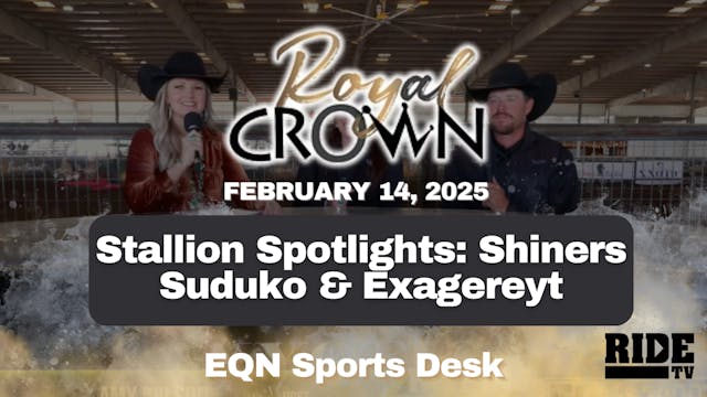 Stallion Spotlights: Shiners Suduko &...