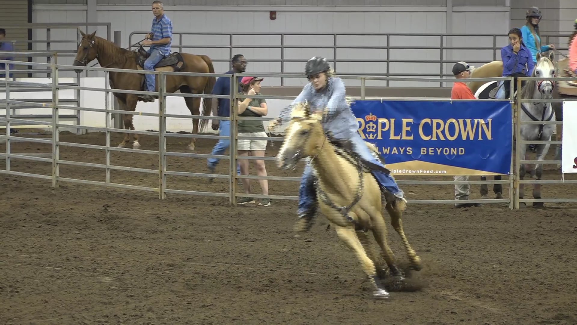 2019 NBHA GA Y1 #081-085