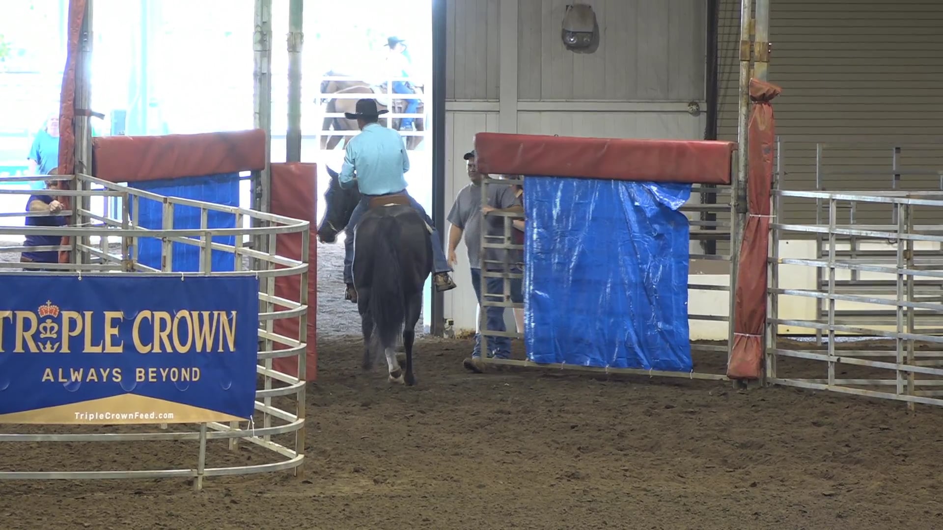 2019 NBHA GA Op1 #141-145