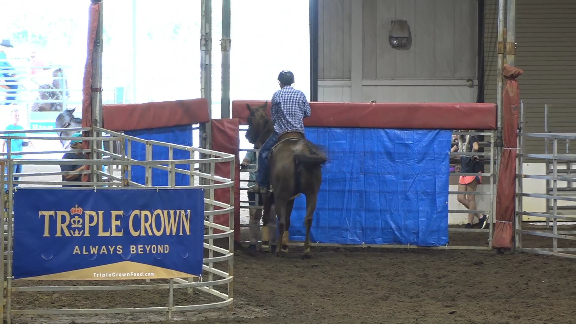 2019 NBHA GA Op2 #260-256