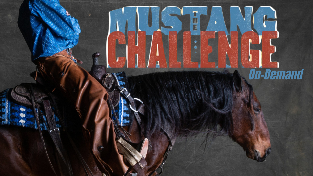 National Mustang Challenge & Mustang Classic