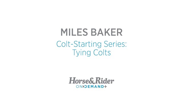 Colt Starting Series: Tying Colts