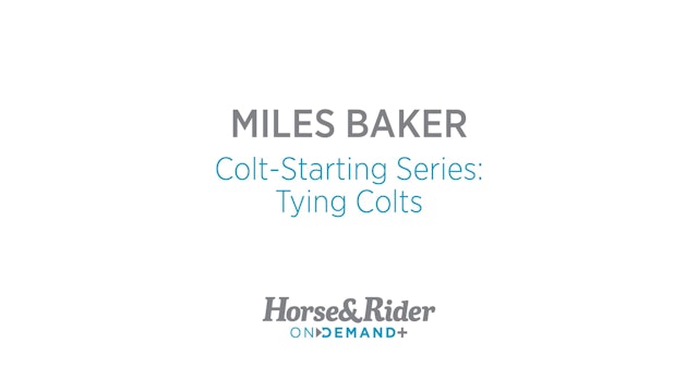 Colt-Starting Series: Tying Colts