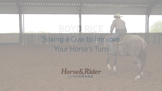 Boxing a Cow to Improve Your Horse’s ...