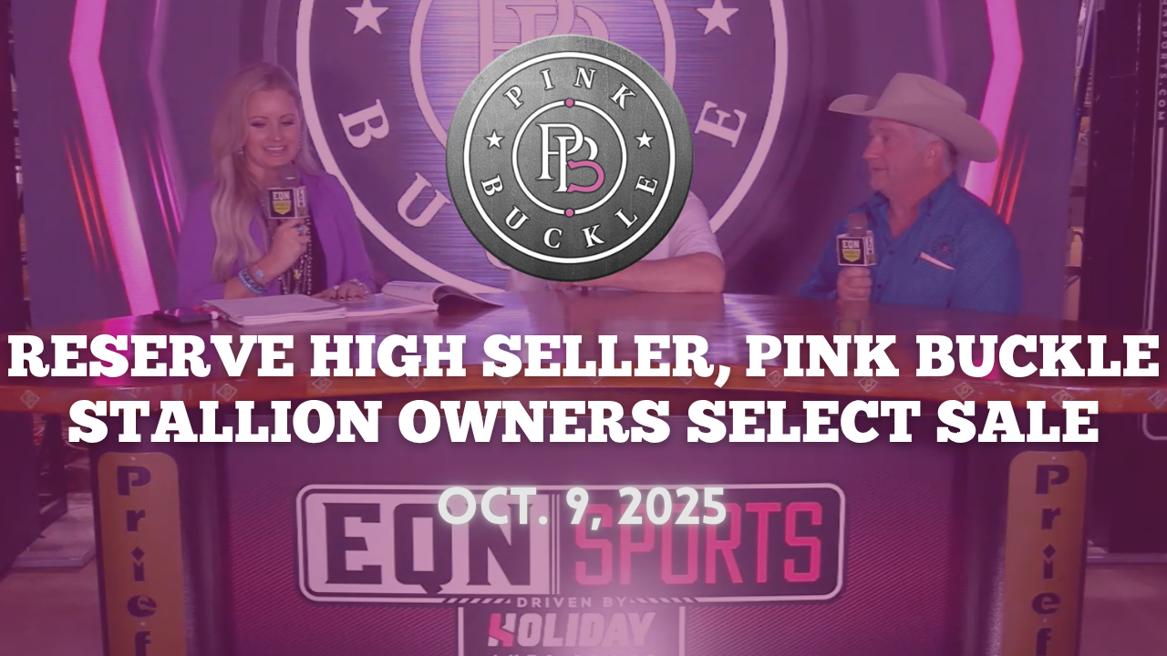 Reserve High Seller | Pink Buckle Stallion Owners Select Sale | Oct. 9, 2025