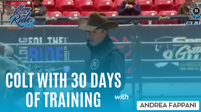 Colt with 30 Days of Training