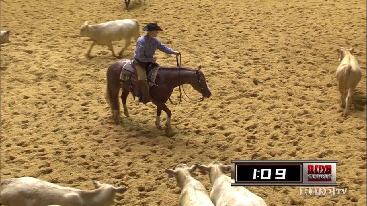 2016 NCHA Summer Spectacular Open Finals - RIDE TV