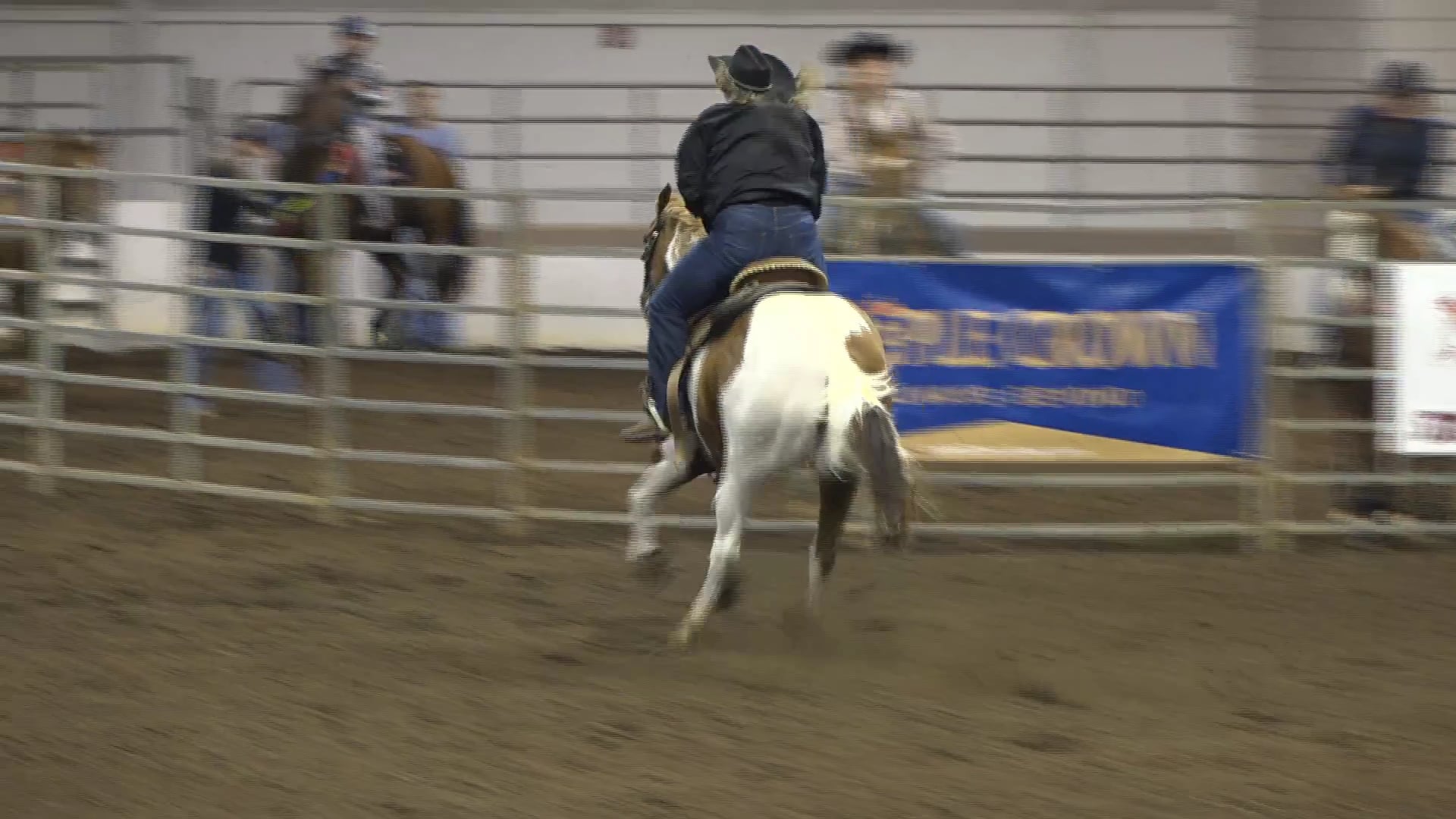 2019 NBHA GA Op1 #286-290