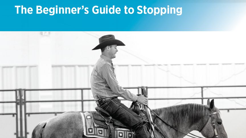 The Beginner’s Guide to Stopping Workbook