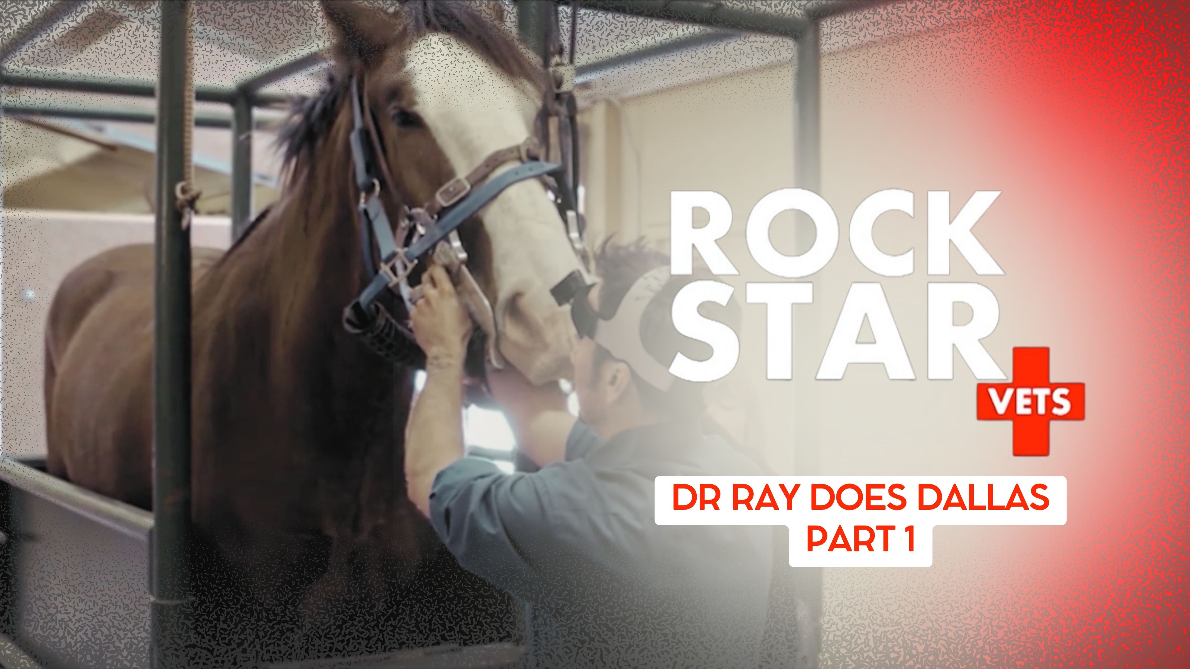 Dr. Ray Does Dallas: Part 1