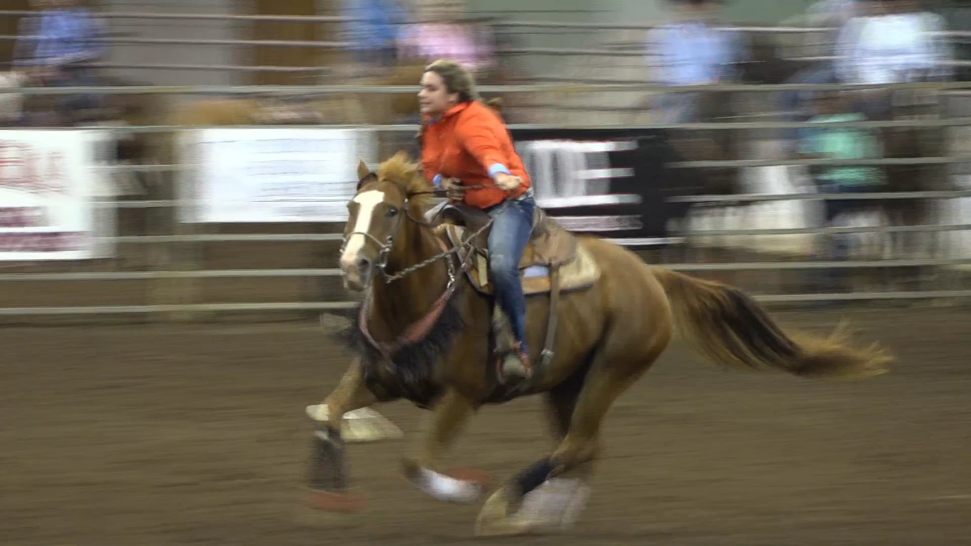 2019 NBHA GA Op1 #416-420