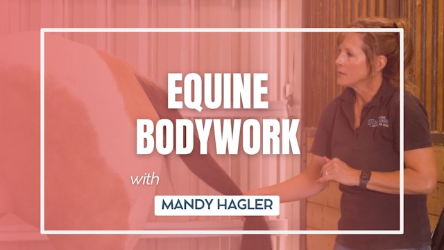 Equine Bodywork with Mandy Hagler