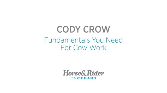 Fundamentals You Need For Cow Work